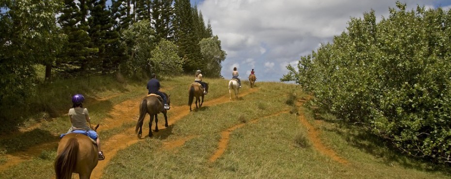 Horseback Riding